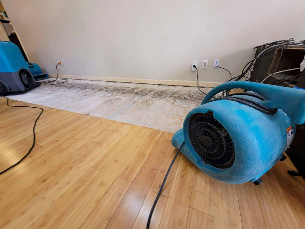 Professional Basement Flood Cleanup technician working in Park City, KS